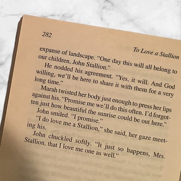 To Love A Stallion By Deborah Fletcher Mello 2008 Kimani Romance Paperback - Picture 4 of 11